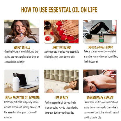 Phatoil Pure Plant Extract Essential Oil Set (6 pcs)