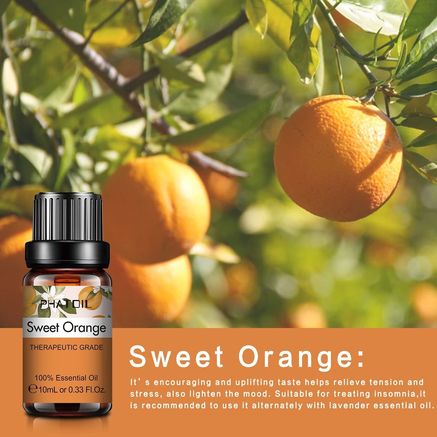 Phatoil Pure Natural Essential Oils Set (10 pcs)